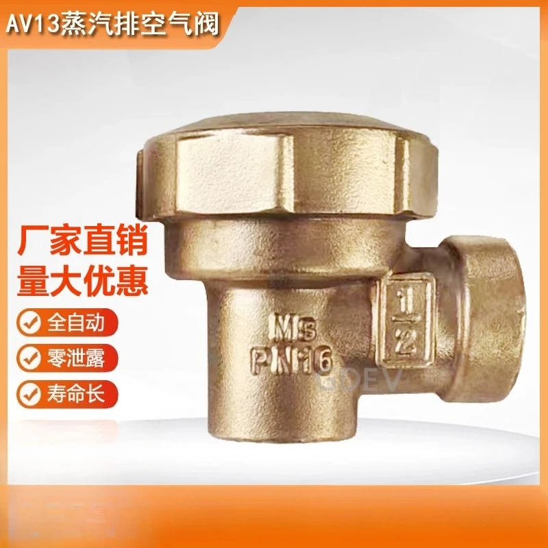 AV13 exhaust air valve BPT13X brass angle type internal thread trap