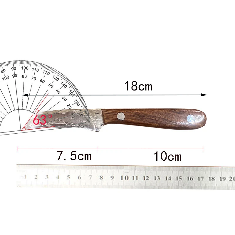 3 Inch Paring Knife 67-Layers Damascus Steel Blade Wood Handle Sharp Chef Cleaver Peeling Fruit BBQ Kitchen Knives Cooking Tools