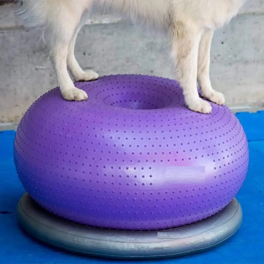 

Balance Disc Cushion Dog Balance Training Platform Strength Endurance Conditioning Fitness Pet Rehabilitation Center Accessories