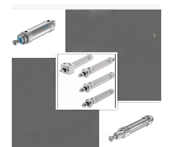 

Cylinder DSNU 8 10 12 16 20 25 32 40 50 63 P A PPV - A