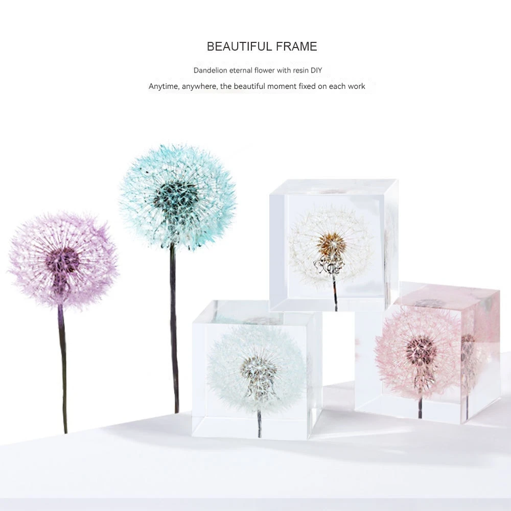 Dandelion Preserved Dried Flowers, Eternal Specimens, DIY Resin Drip Glue Flower Material Decoration Package,