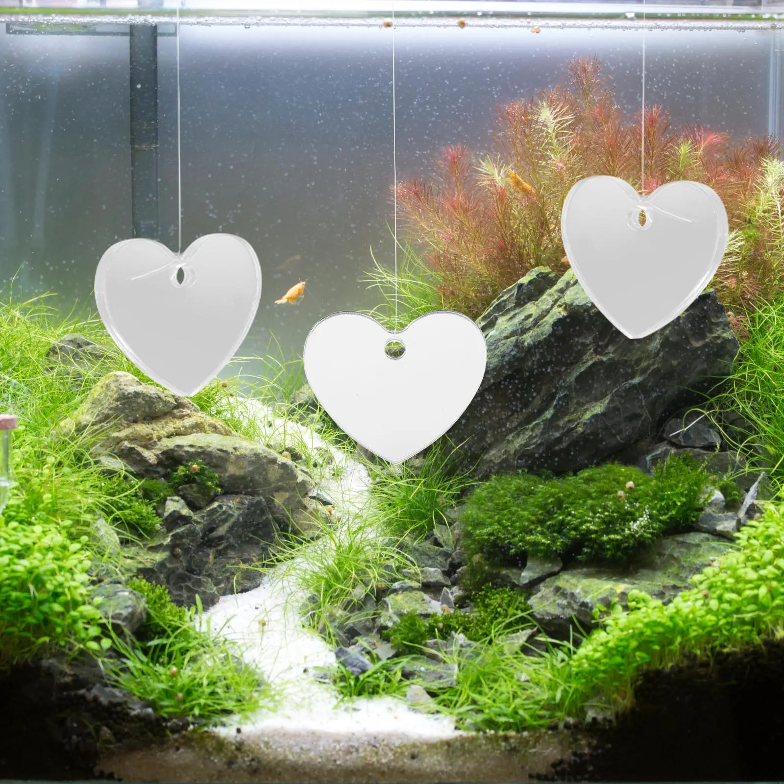

4Pcs Fish Mirror Acrylic Decor Floating Betta Toys Green Bowl Aquarium Supplies Fish Tank Decorations Pet Decorations