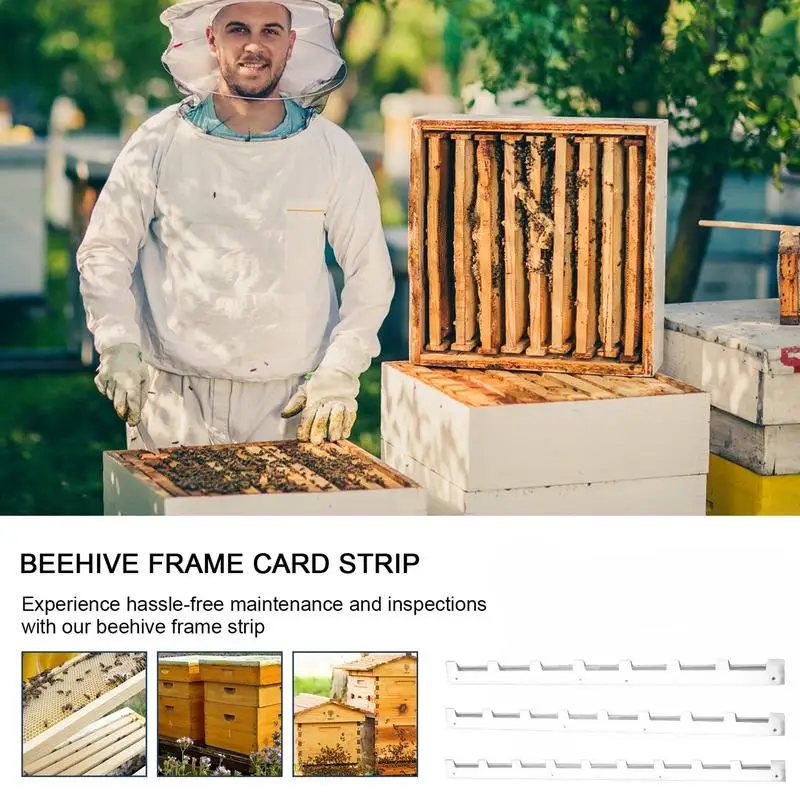 Honeycomb Frame Card Strip Beehive Sliding Guards Beehive Spacers Beekeeper Beekeeping Tool Hive Frame Ends Beehive Picture