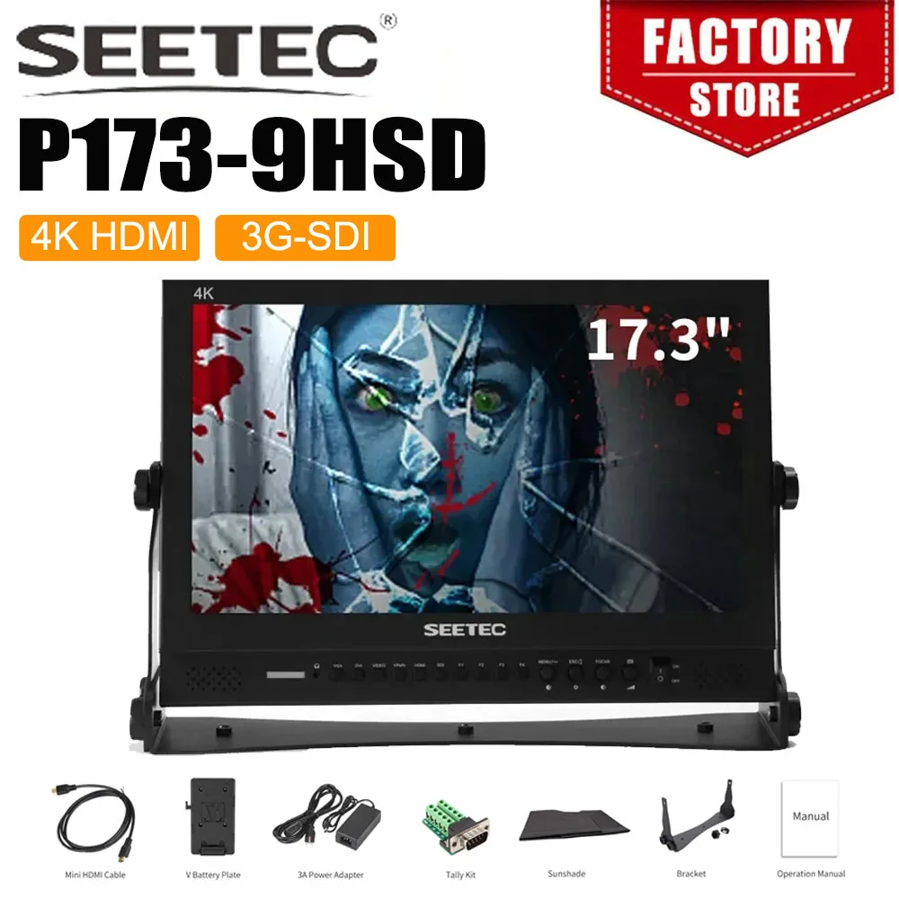 SEETEC 17.3