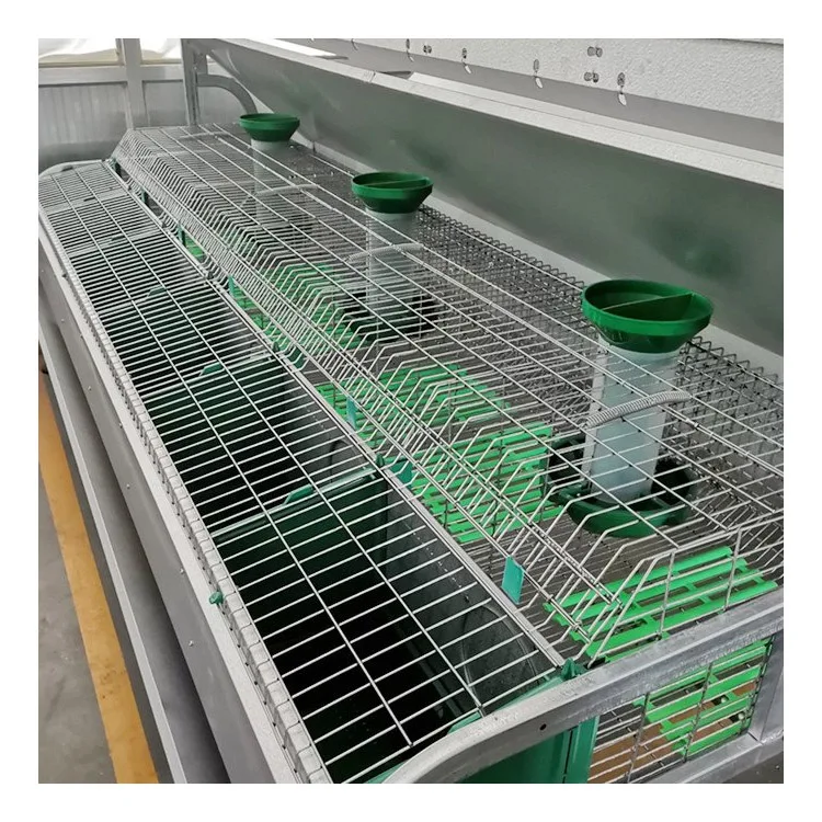 New Energy European-style Rabbit Cage Hot Dipped Galvanized Steel 48 Units Capacity 2-4 Tiers Long Service Life