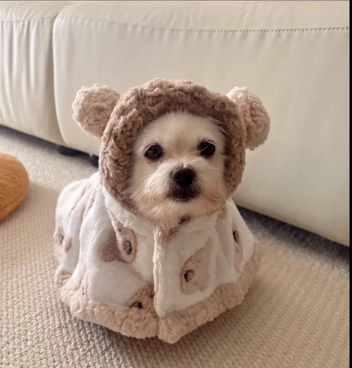 2 في 1 جرو معطف الحيوانات الأليفة الدافئة الدب كيب الدافئة الكلب لحاف بطانية للحيوانات الأليفة كيب كيب بطانية Schnauzer فصيل كورجي القط معطف مصمم الكلب الملابس