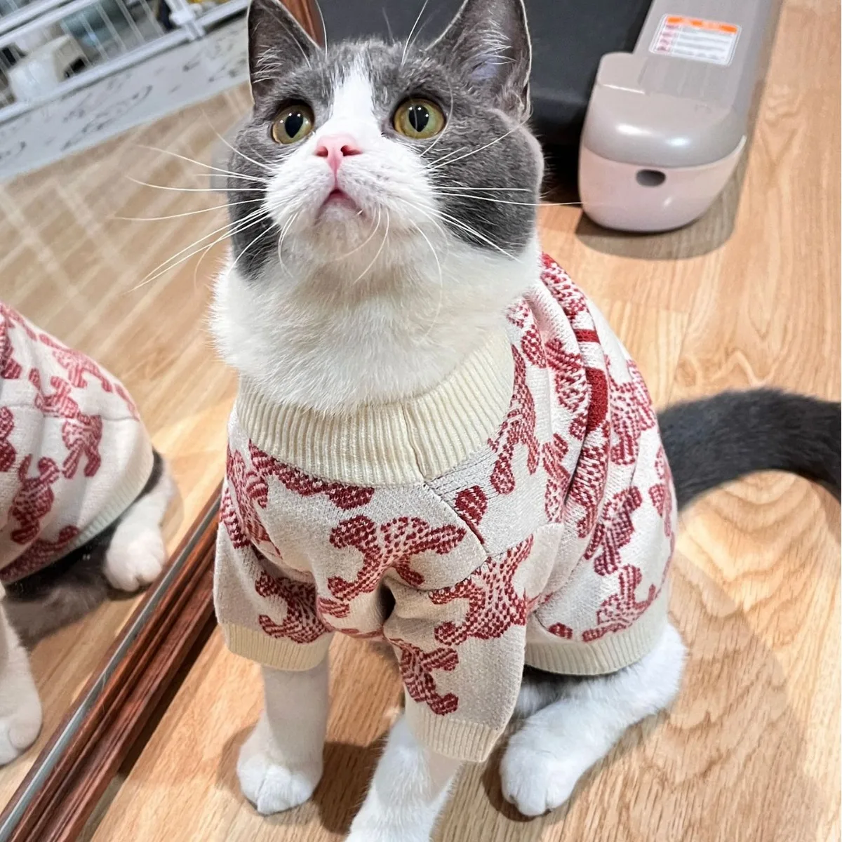 

Pet Clothes,2024 New Design Pet Clothes Fashion Popular Luxury Designer Winter Cat Dog Coat Dog Clothes Luxury Pet Clothes