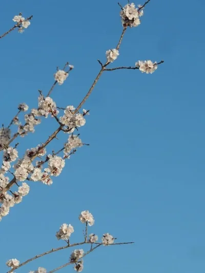 

Комплекты для самостоятельной сборки передних и задних портальных мостов 1/12 для MN82 LC79 MN78 из алюминиевого сплава, закаленного металла, запчасти для тюнинга радиоуправляемых машин