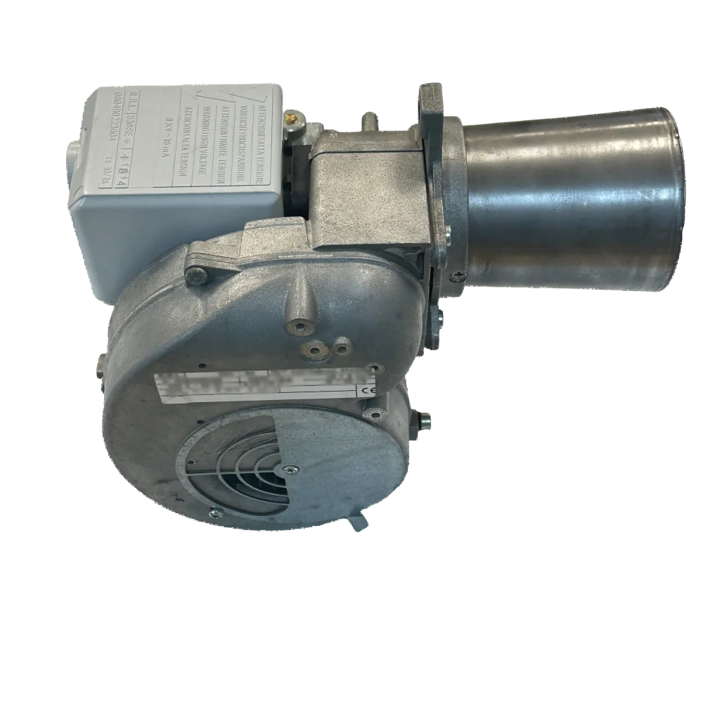 

RIELLO 40 G2X G3X G5X 19-30 kW Light Oil Burner Energy-Saving Design for Food Processing Industry Control Convenience