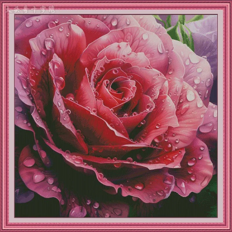 Stamped Cross Stitch Kit 14CT 16CT Pre Printed Canvas Cotton Threads Embroidery Needlework Wall Decor[ZZ5415-Rain and Dew Rose]