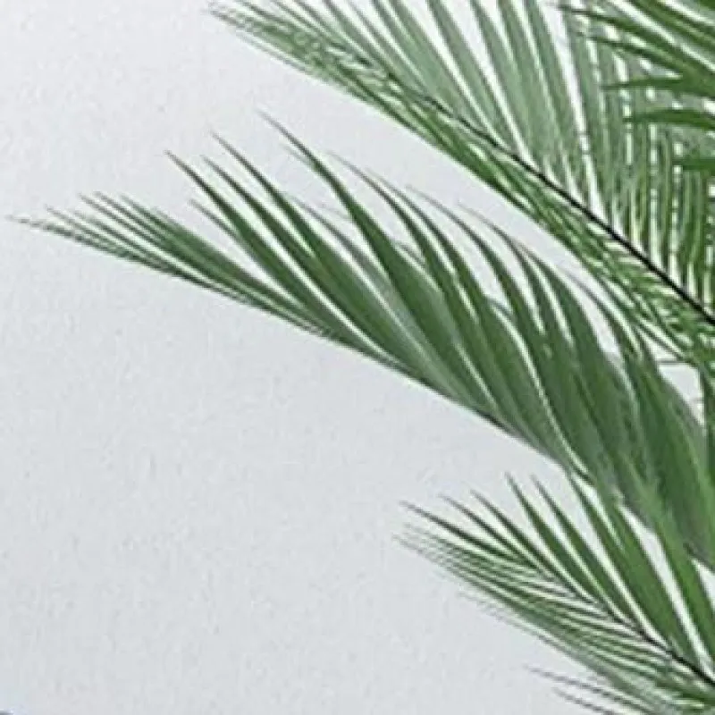 rilevatore-di-qualita-dell'aria-9-in-1-multifunzionale-rilevatore-di-gas-tester-di-anidride-carbonica-per-produzione-agricola-e-serre