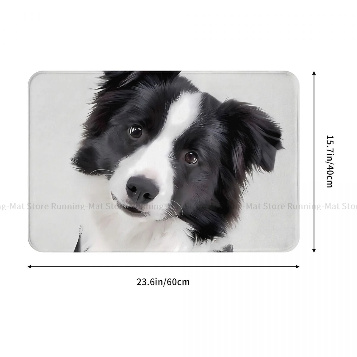 Bedroom Mat Border Collie Colorful Doormat Living Room Carpet Entrance Door Rug Home Decor