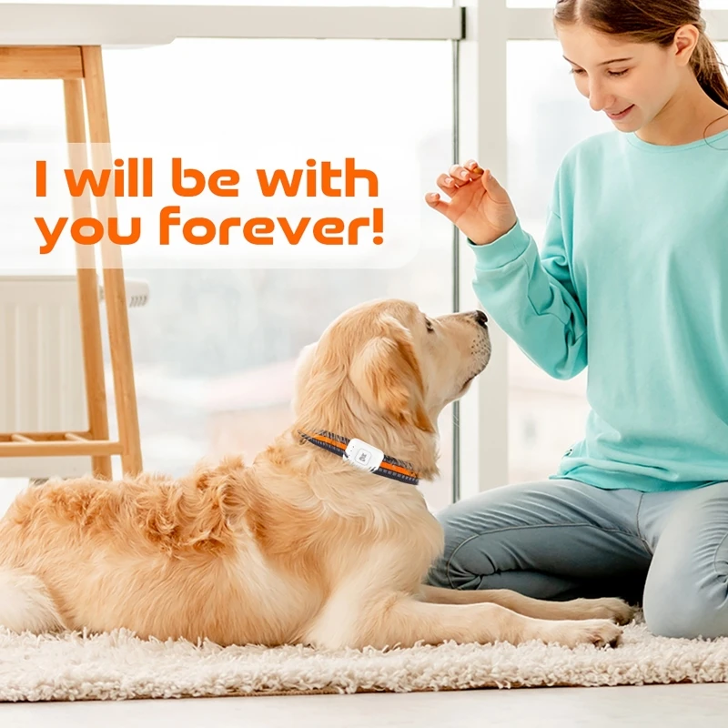 GPS Pet Tracker with Colorful LED Flash 4G Smart Pet Collar IP67 Waterproof Pet Pedometer Calorie Health Data Tracker