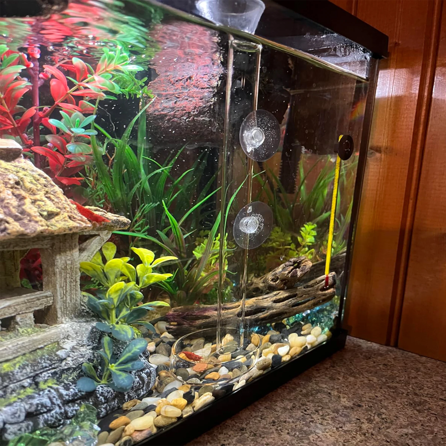 Thumbnail 2 - #7 Compare Fish Feeders Before You Buy