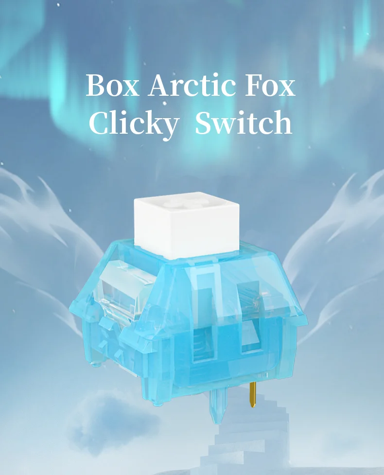 1/3/5Pcs Kailh Box Arctic Fox Tastatur Schalter Mechanische Tastatur Clicky Schalter Kompatibel Cherry MX RGB DIY Schalter – Detail 2