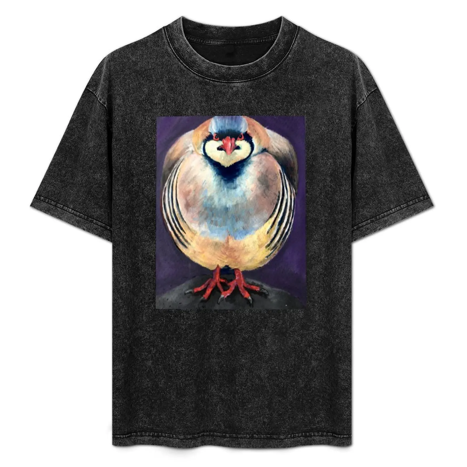 

A handpainted Chukar Partridge on black watercolor paper. T-Shirt for a boy blacks men clothes