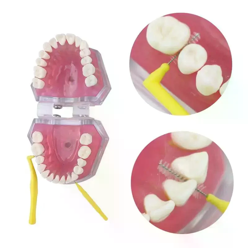 

Dental Cleaning Care Kits Portable Travel Oral Cleaning Kits Detachable Toothbrush Interdental Brush Tongue Scraper Storage Case