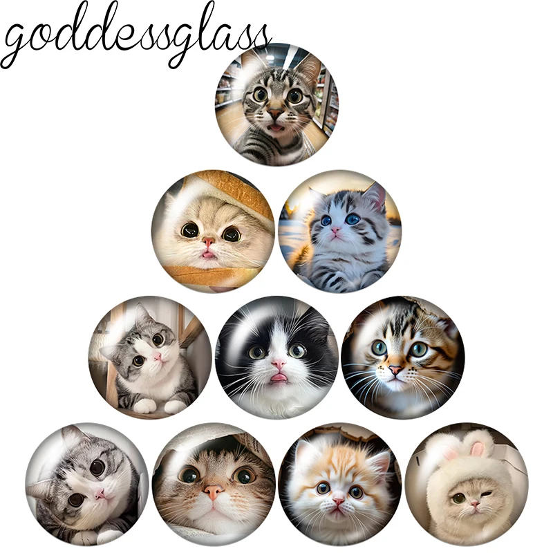 مضحك القط الوجه جميل الحيوانات الأليفة الحب القطط 10 قطعة 12 مللي متر/18 مللي متر/20 مللي متر صورة مستديرة الزجاج كابوشون ظهر مسطح صنع النتائج أزرار إطباقية ذاتية الصنع
