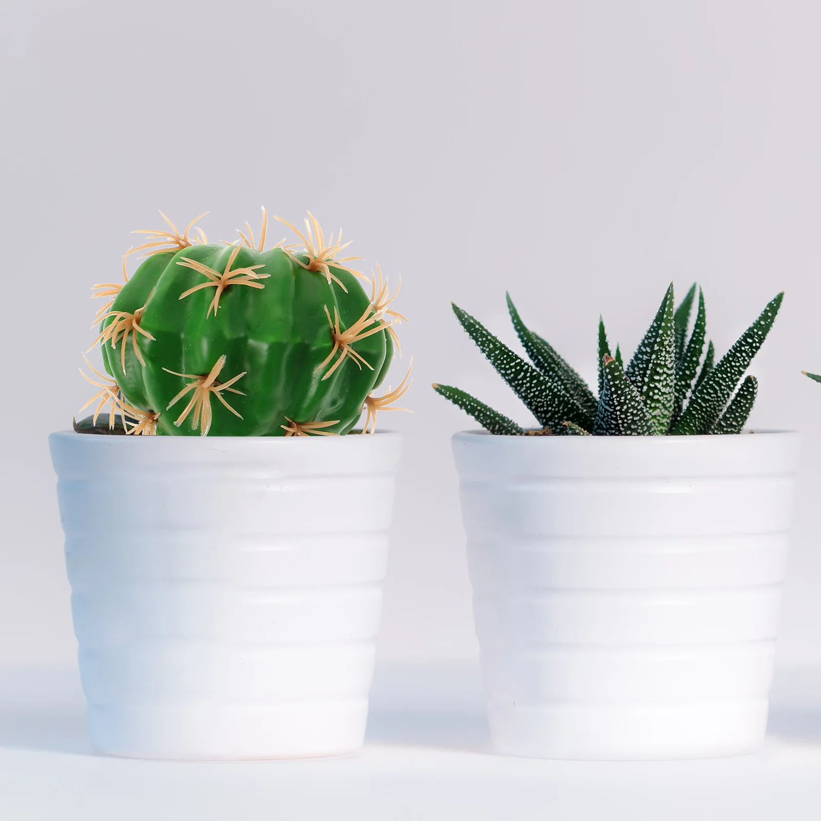 

Potted Artificial Cactus Plants Realistic Tropical Flower Heads Small naments Home Office Decor Simulation Plant Pot