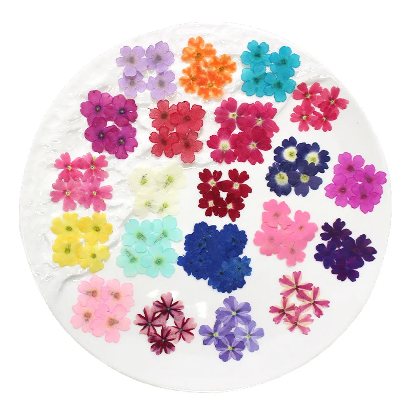 12 Stück, echte getrocknete Blumen, Prägematerialien, DIY-Zubehör für Epoxidharz, für Handyhüllen, Nagelkunst, Gesichtsaufkleber, handgefertigte Dekoration – Detail 5