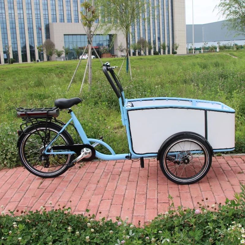 Pedal/electric freight bicycle family 6-speed blue/white three-wheeled electric bicycle pedal children's freight bicycle