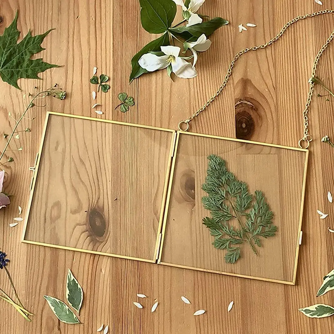 

B-T 2Pcs Glass Frame For Pressed Flowers, Leaf And Artwork - Hanging Square Metal Picture Frames,Clear Double Glass Floating