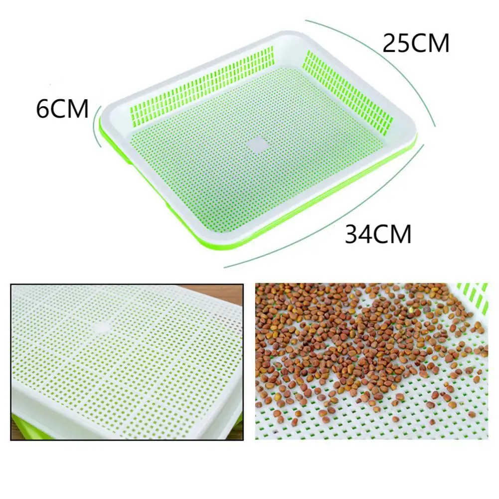 Gardening Enthusiasts Germination Tray Best Sprouter Trays For Home Vegetable Sprouting Large Capacity Ample Germination Space