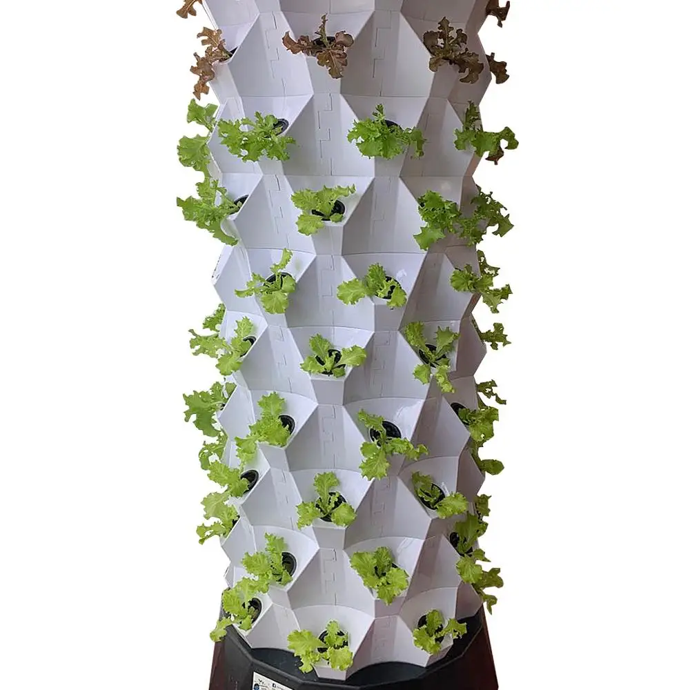 

Skyplant Home Garden vertical Grow Kit Growing Systems complete hydroponic system smart home automation system