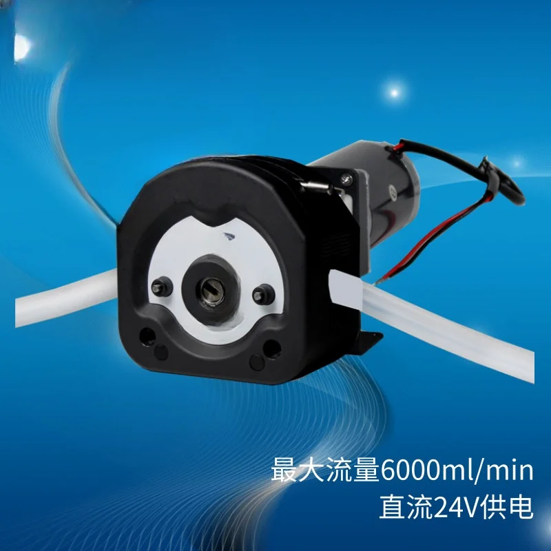 for Industrial Use G600-1Z Kz25 Peristaltic Pump Factory Wholesale Large Flow High Precision PPS Corrosion Resistance