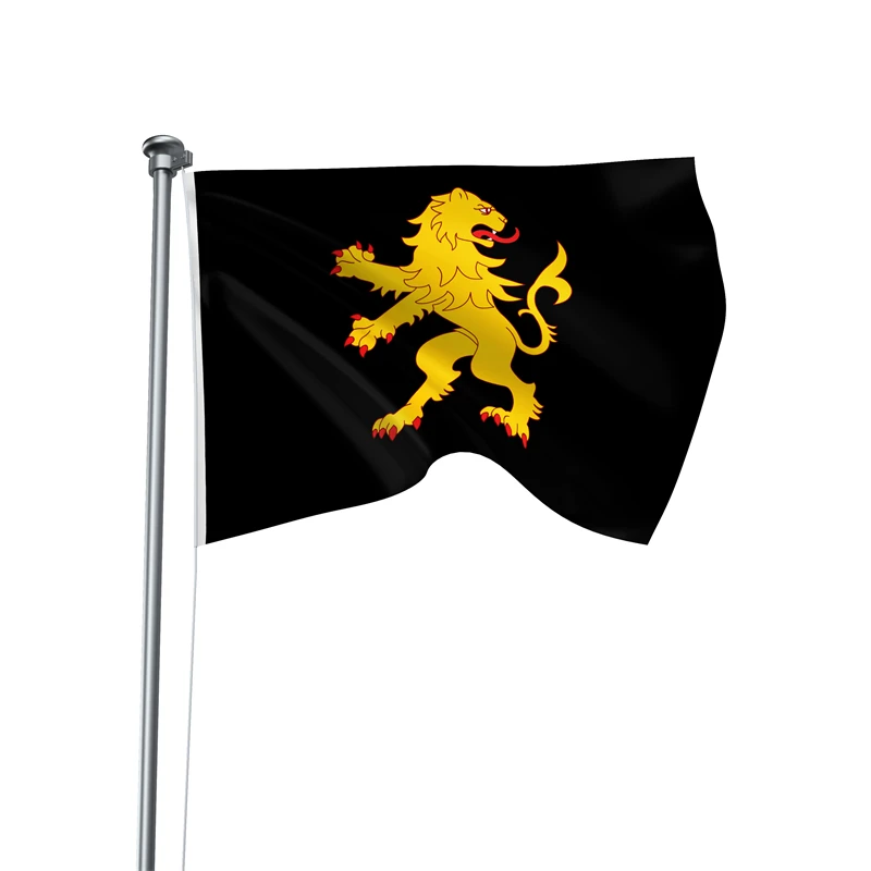 Gaslight Gatekeep Girlboss 5' x 3' Cardiganshire Wales Flag Banner Polyester with Brass Grommets 150cm x 90cm