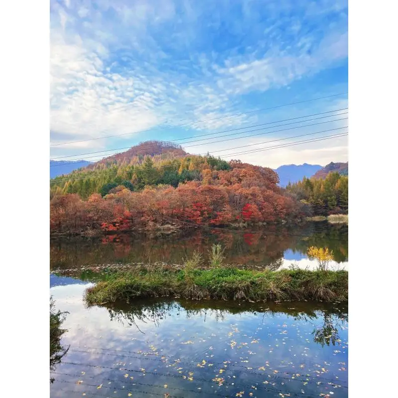 Loud Sound Volume Enhancer with Light Flasher Loud Ringer Ring Speaker for Landline Telephone Telephone Answering Accessories