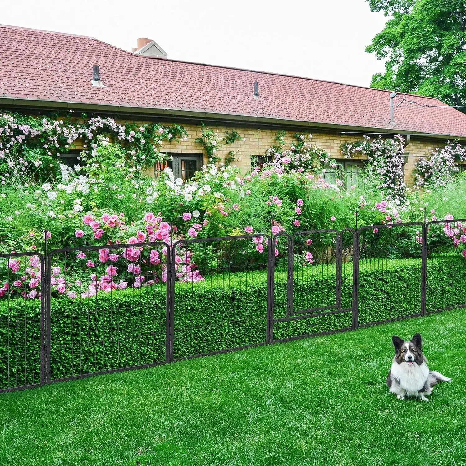 TMEE Garden Fence 16 Panels 36ft×40in Decorative Garden Metal Fence with 2 Gates Outdoor Landscape Animal Barrier Dog Pet Fencin