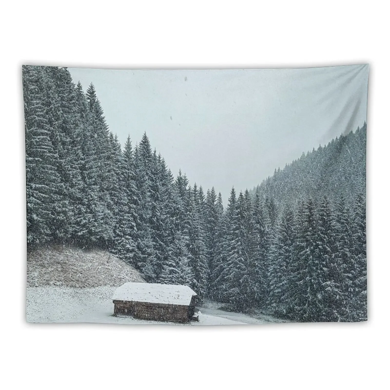 

Winter mountain Scenery Tapestry Cute Room Things Room Decorations Aesthetic Hanging Wall Home Decor Aesthetic Tapestry