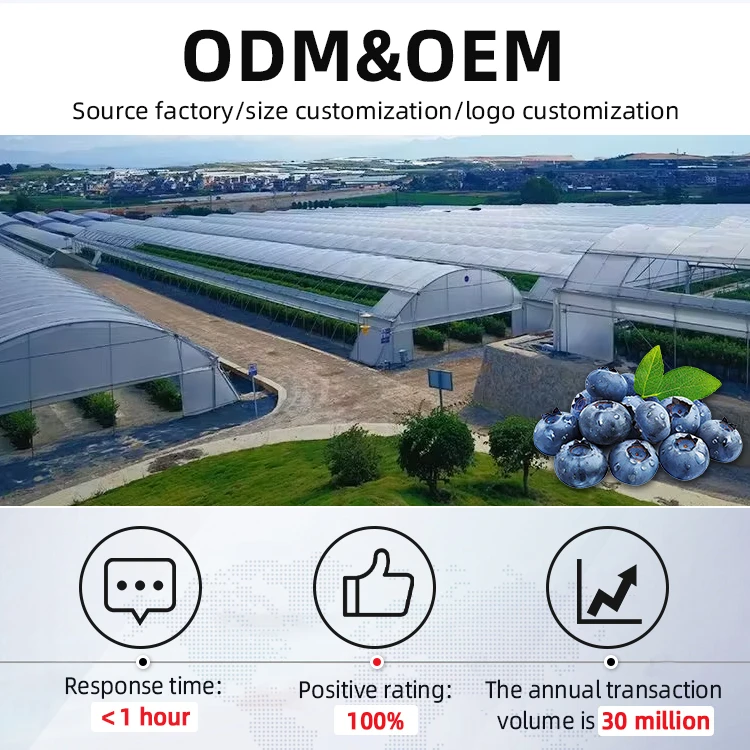 2025 간편 채소밭 묘목 재배 토마토 식물 온실 프레임 키트 플라스틱 온실 장비