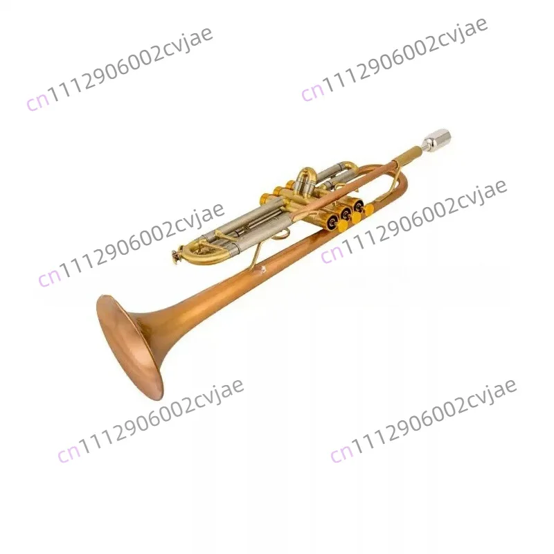 Trumpet in B flat trumpet instrument Brass trumpet instrument playing