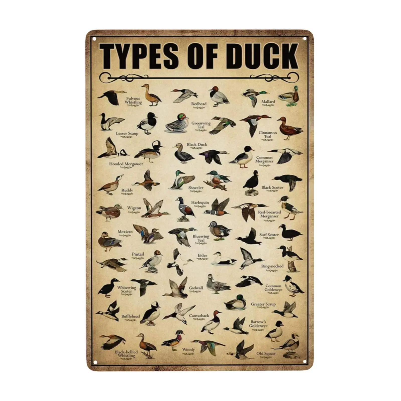 Type Of Duck Tin Sign Duck Hunting Decor Mallard Ducks Knowledge Metal Signs Vintage Duck Hunting Decorations For Home Kitchen B