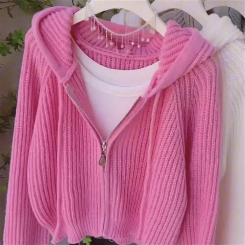 Cardigan lavorato a maglia con cappuccio rosa autunno donna nuovo Design ampio ed elegante maglione corto a righe giacca con cerniera soprabito