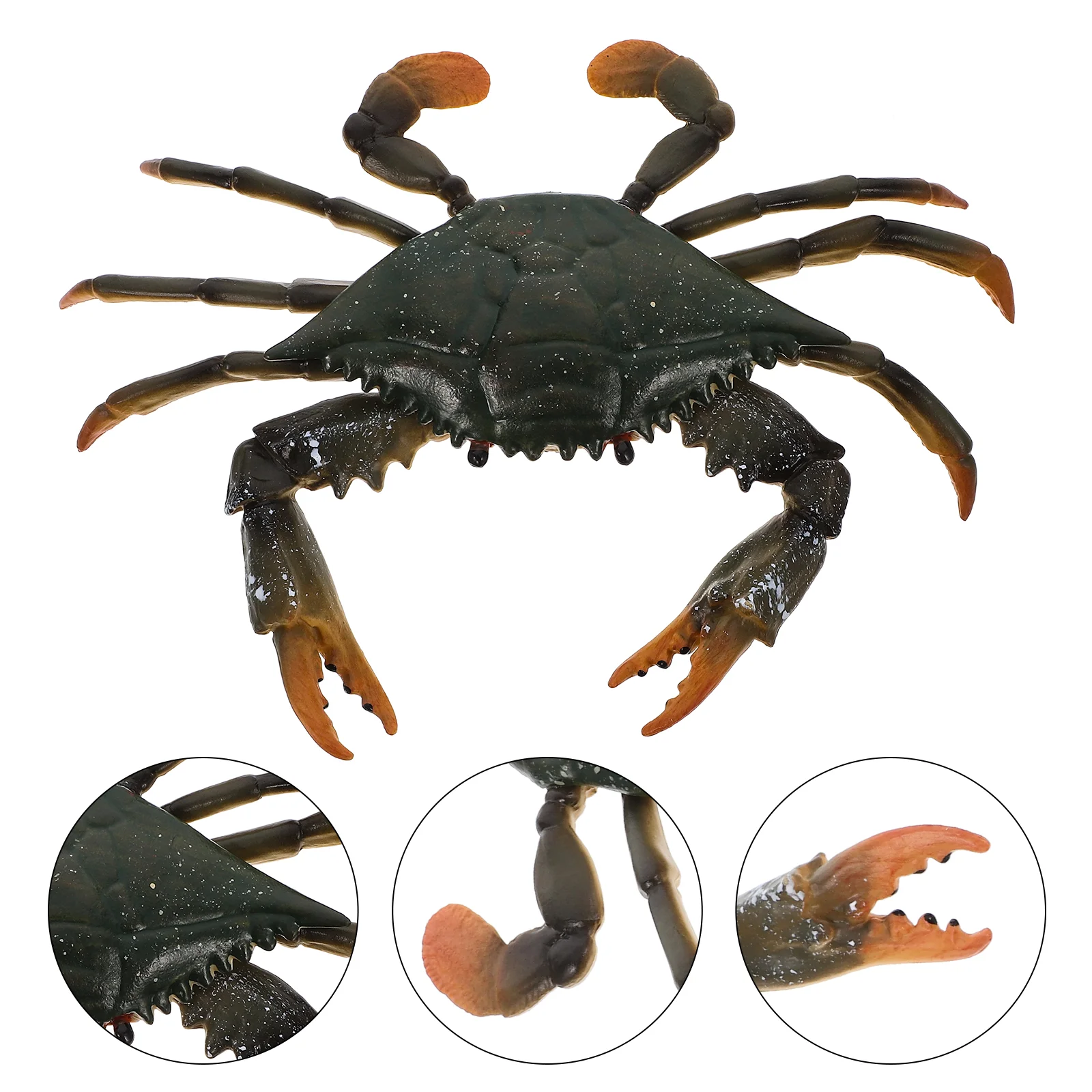 Figurines de crabe de simulation, jouets modèles d'animaux marins, éducation des enfants