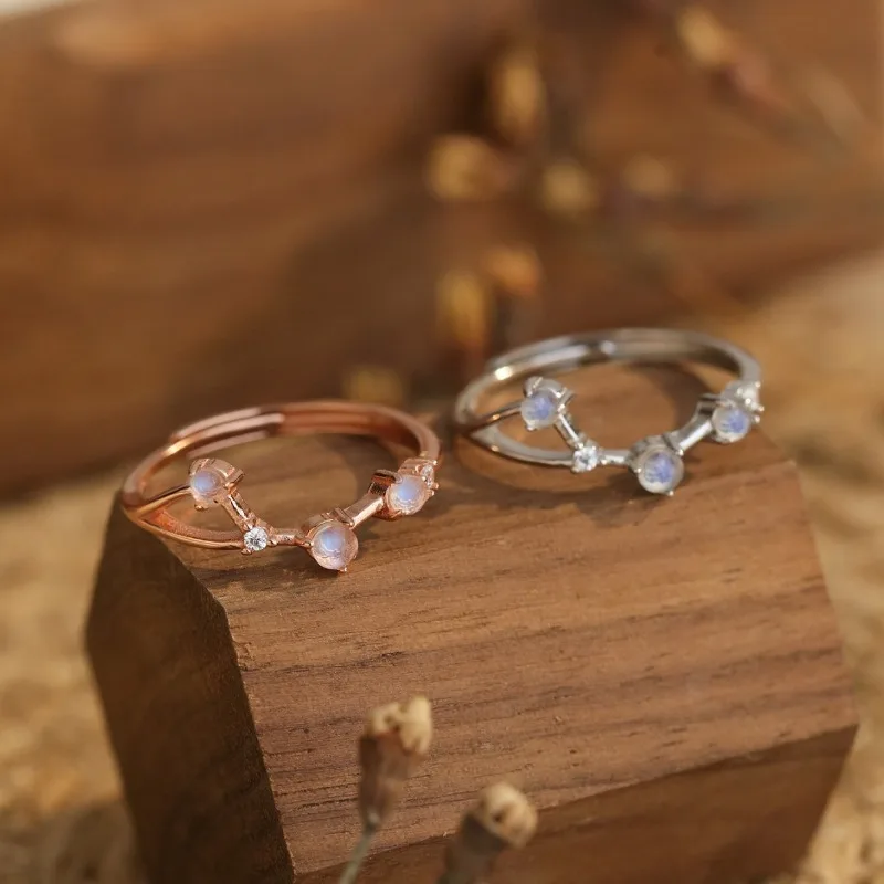 European And Americ… - image