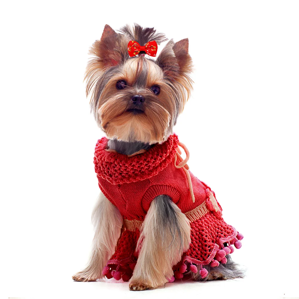 Pet Hair Bows Dog Hair Accessories Red Style Chinese New Year Hair Decor Rubber Band Puppy Hair Bows for Small Dogs Pet Supplies