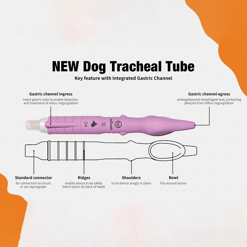 Canine Tracheal Intubation Blind Insertion of Anesthesia Gas Or Oxygen For Dogs Non-invasive Specialized Dogs Pet Medical Room