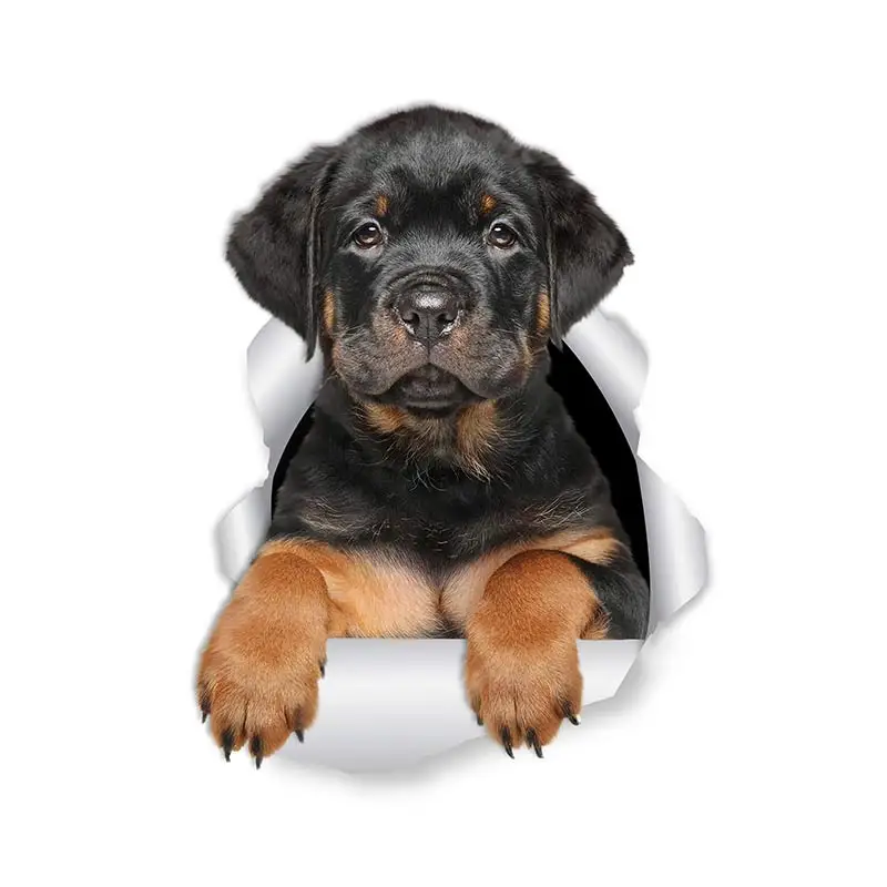 M463 Wurst Hund Rottweiler Hund Yorkshire Terrier Hund PVC Haushalt Dekoration Wand Aufkleber Toilette Aufkleber – Detail 16