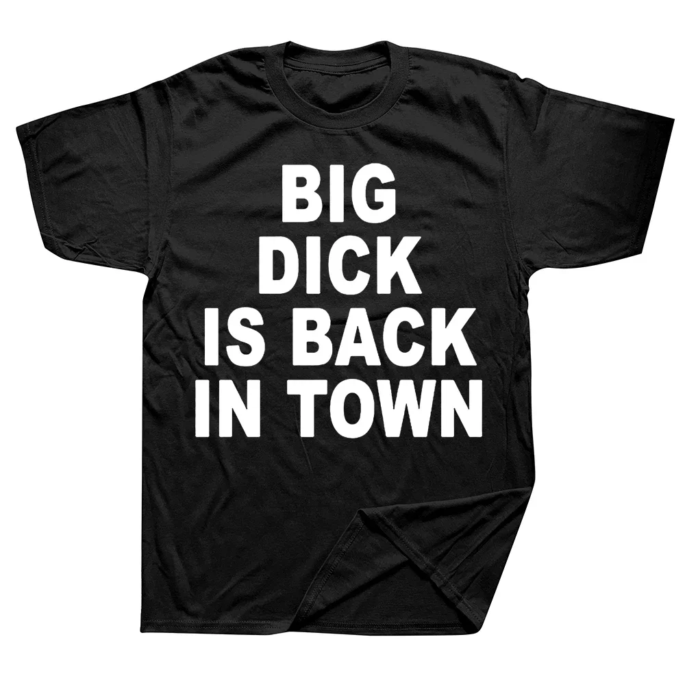 Big Dick Funny Sex Instruction T Shirts Graphic Cotton Streetwear Short Sleeve Birthday Gifts Summer Style T-shirt Mens Clothing