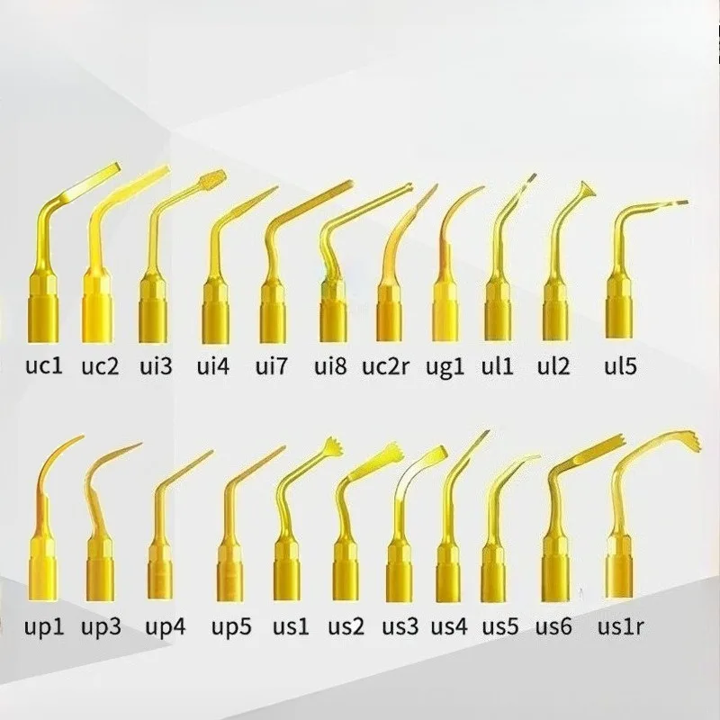 

Piezosurgery Osteotomy Bone Cutting Dental Surgery Tip US1 US1L US1R US2 US3 US4 US5 US6 US7 US11 US12 for Mectron Woodpecker