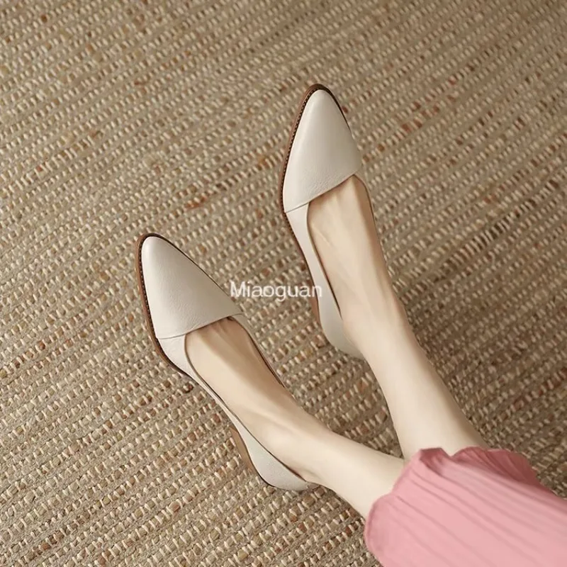 New Retro Leather Heels Shoes Pointed Toe Slip-on Loafers Mid Heeled Fashion Work Shoes Women\'s Spring Summer Casual Pumps Beige