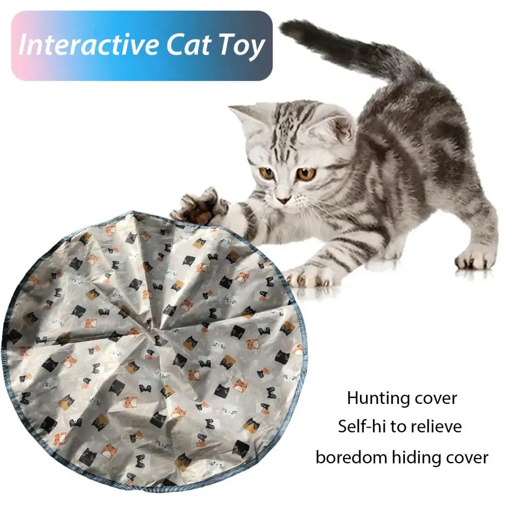 Realistic Prey Simulation Cat Enrichment Toy Motion Activated Cat Toy Set for Indoor Cats Hunting Cover Rechargeable for Kittens