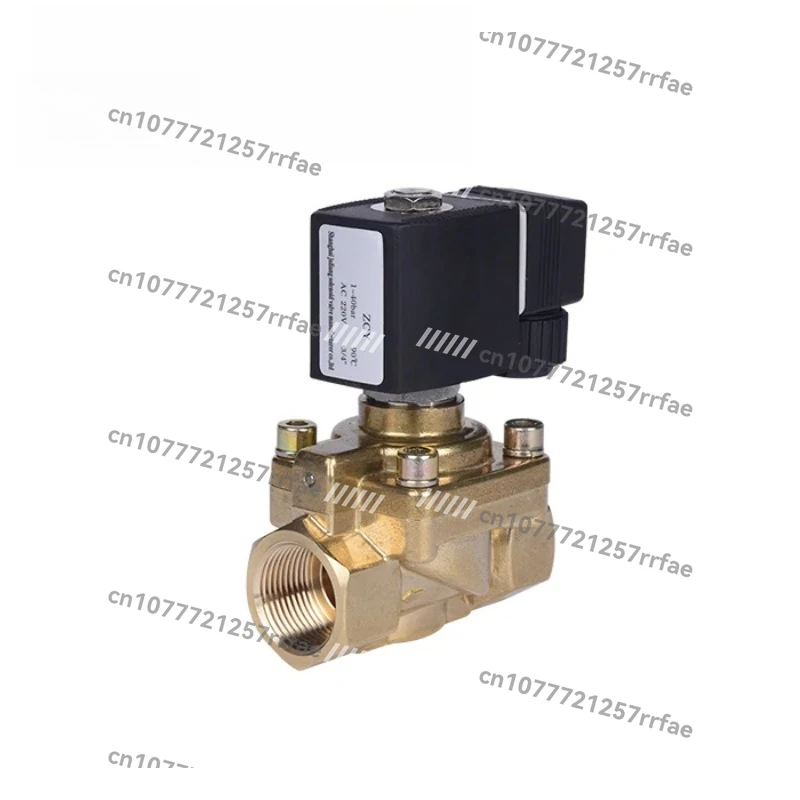 AC220V DC24V brass high pressure compressor solenoid valve