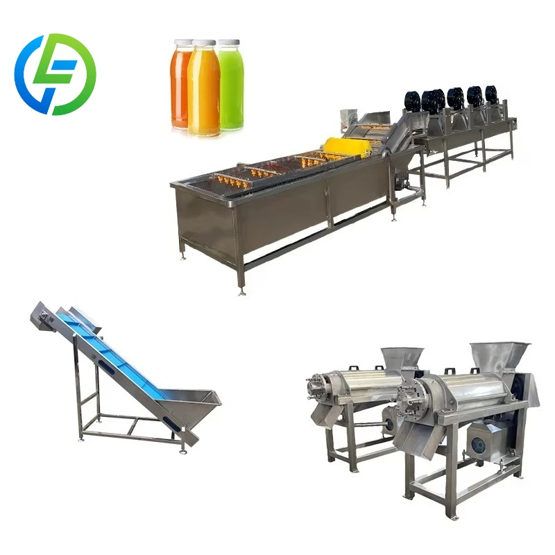 Customized Semi-Automatic Small Scale Fruit Vegetable Juice Production Line with Washing Crushing Pressing for Startup and Farm