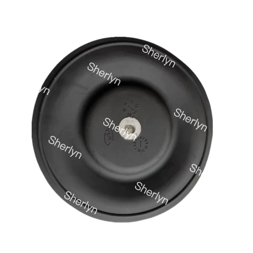 245065 Repair Kit GRACO308 Pump Diaphragm Pneumatic Paint Diaphragm Pump Diaphragm