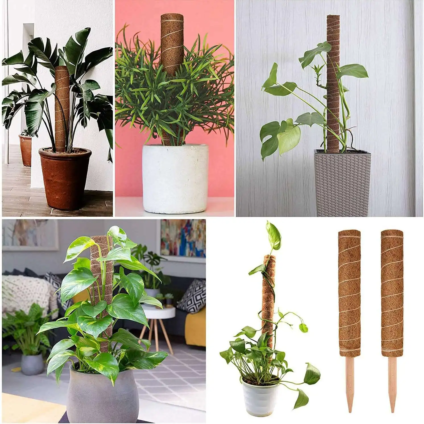 Retail 14 Pcs Moss Pole Set - 16 Inch Coir Totem Plant Support Indoor Plants To Grow Upwards, It Is Perfect For Climbing Plants